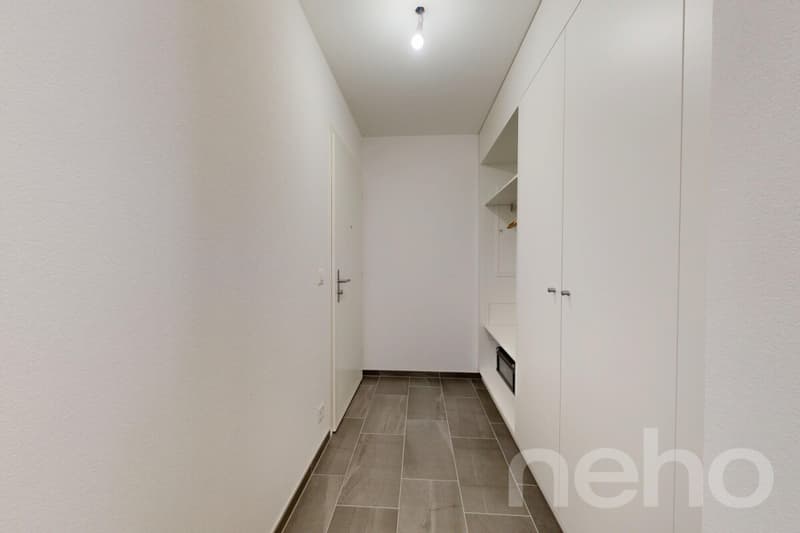 Un balcon XXL face aux Préalpes fribourgeoises (12)