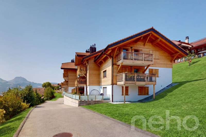 Un balcon XXL face aux Préalpes fribourgeoises (1)