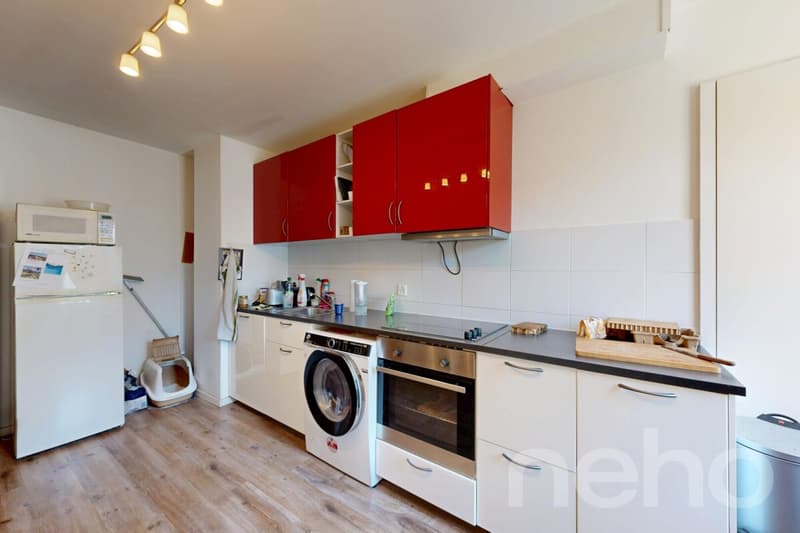 Appartement 2,5 pièces ? 70 m², exposition sud, à 10 min de Lausanne (9)