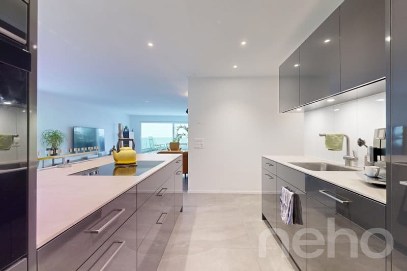 Moderne Terrassenwohnung mit beeindruckender Weitsicht (9)