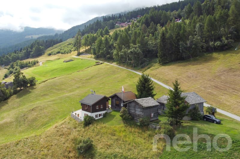 Magnifque Chalet à Unterbäch (VS) (1)
