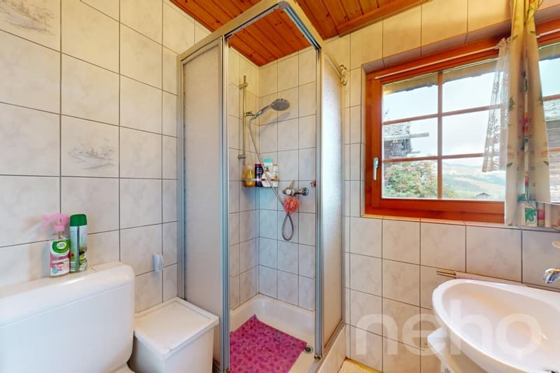 Magnifque Chalet à Unterbäch (VS) (9)