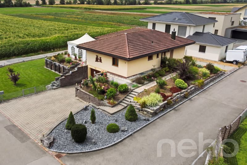 Grosszügiges 5-Zi-Einfamilienhaus mit grossem Grundstück und Weitsicht (2)