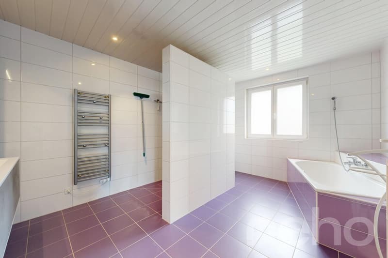 Magnifique maison familiale de 215 m² dans un cadre verdoyant à Bonfol (11)