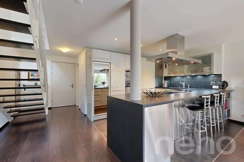 Magnifique duplex avec terrasse et jardin privatif (7)
