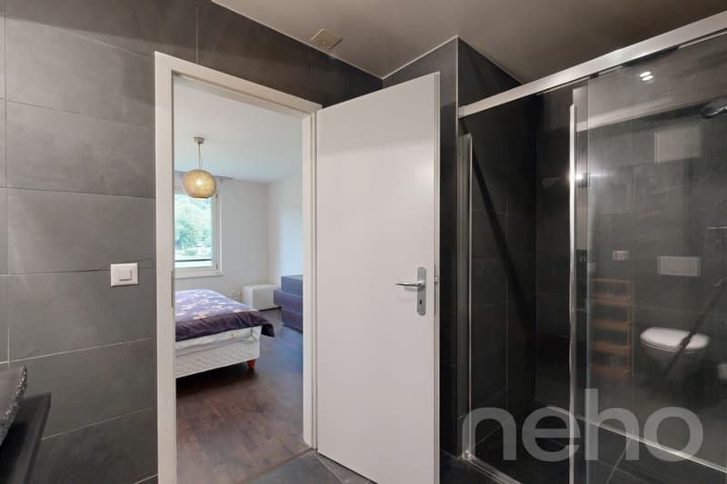 Magnifique duplex avec terrasse et jardin privatif (12)
