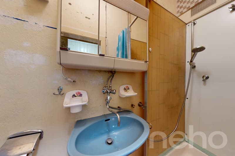 Maison à réinventer sur une parcelle de plus de 2'700 m² (12)