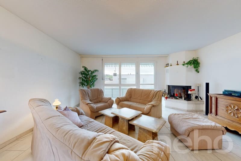 Helle Attikawohnung mit Dachterrasse, Cheminée & Charme (2)