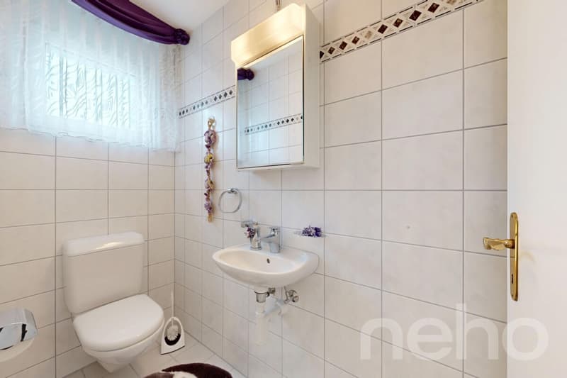 Helle Attikawohnung mit Dachterrasse, Cheminée & Charme (10)