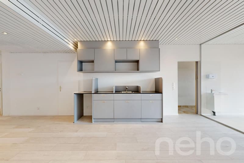Immeuble mixte avec locaux commerciaux et appartement 3.5 pièces (4)