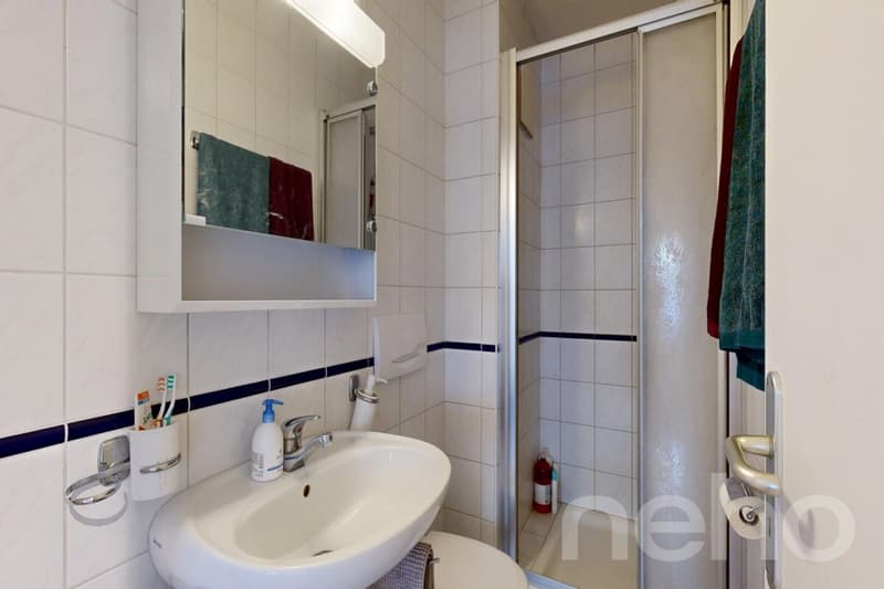 Libre de suite : Bel appartement avec sa vue sur le lac ! (10)
