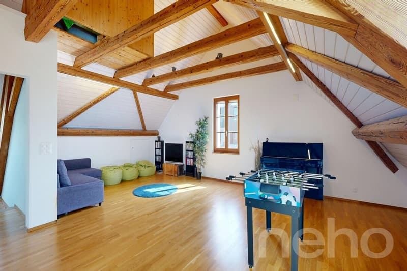 Liebhaberobjekt mit Charme, viel Platz und moderner Technik (7)