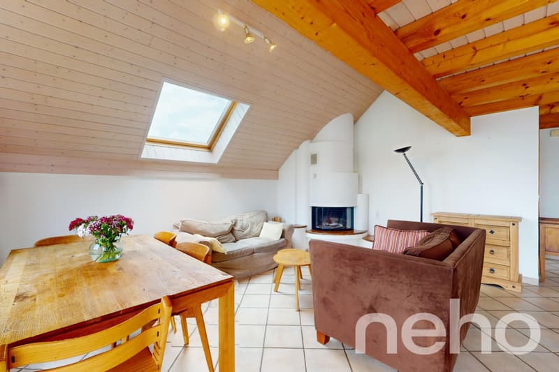 Grand appartement de 3,5 pièces au calme absolu à Villars-Tiercelin (1)