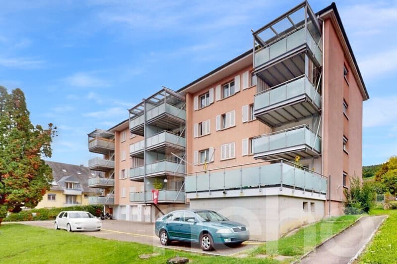 Grosszügige 6.5 Zi-Wohnung auf eigener ganzer Etage! (1)