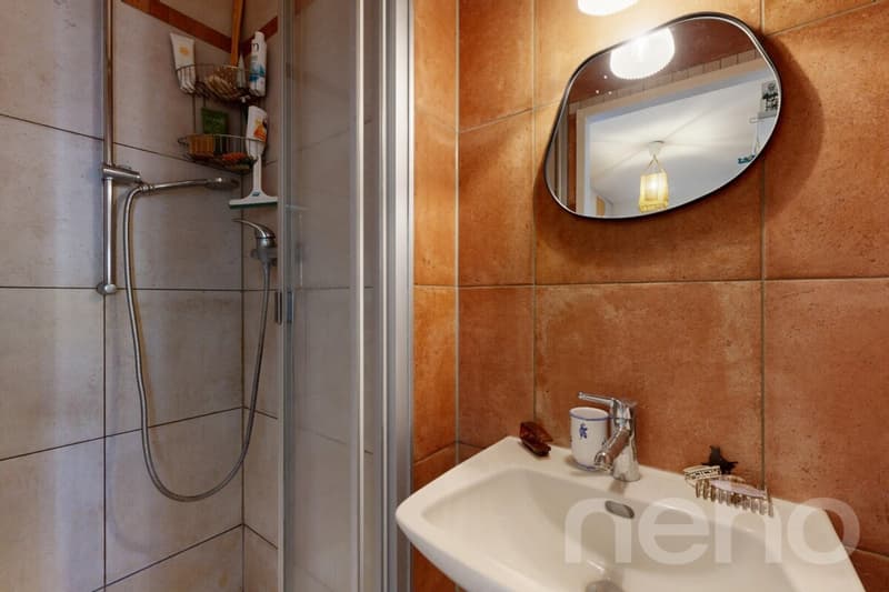 Appartement familial lumineux, 114 m², au c?ur de la ville (11)
