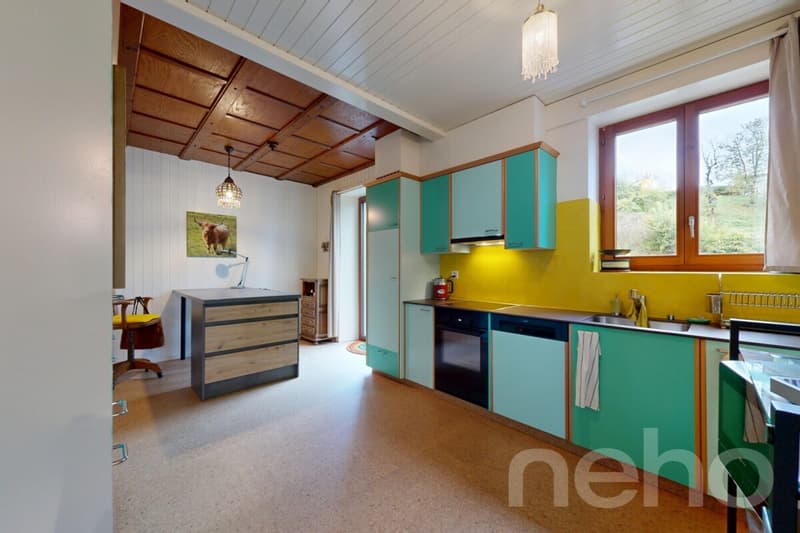 Maison familiale Atypique Rénovée avec jardin et garage indépendant (2)