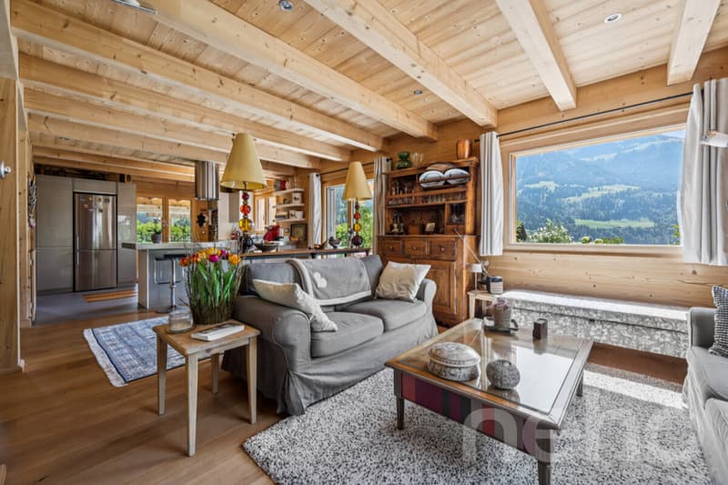 Chalet de charme + loft indépendant - vue sur les Dents du Midi (5)