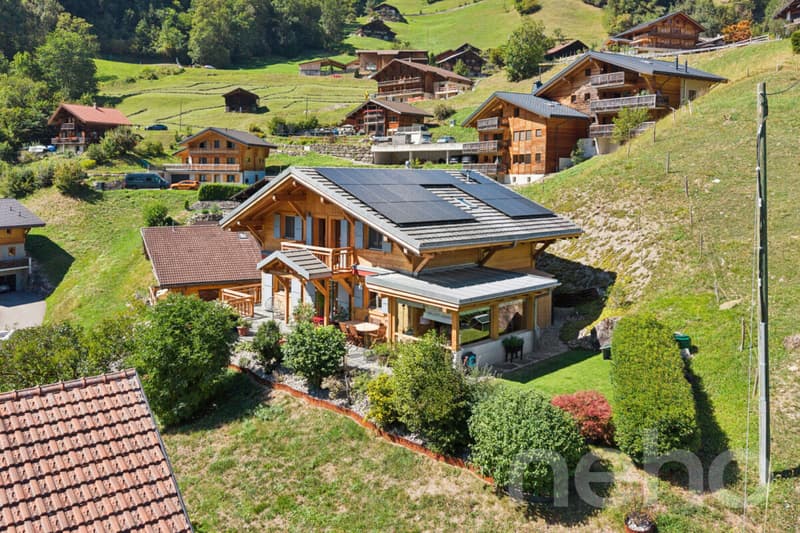 Chalet de charme + loft indépendant - vue sur les Dents du Midi (1)