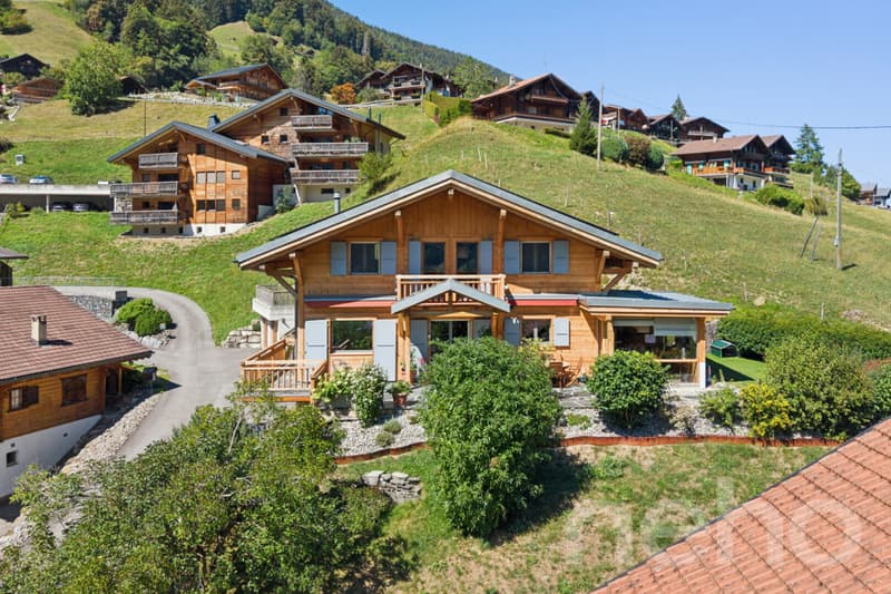 Chalet de charme + loft indépendant - vue sur les Dents du Midi (2)