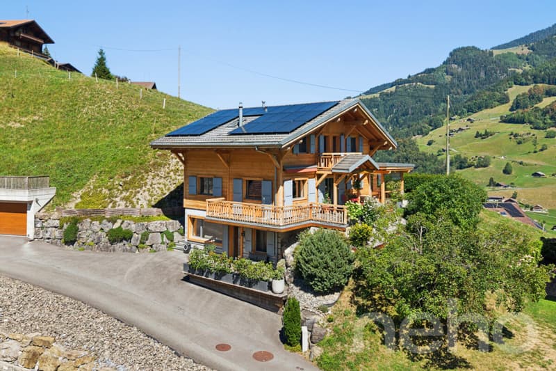 Chalet de charme + loft indépendant - vue sur les Dents du Midi (12)