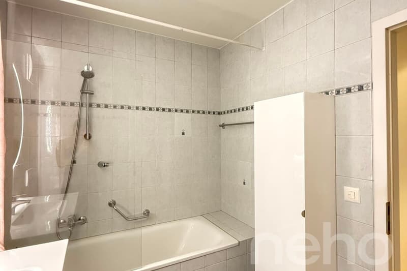 Appartement spacieux, lumineux et vue apprenable sur le lac ! (8)
