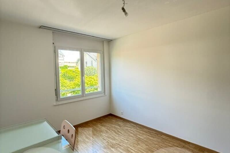 Appartement spacieux, lumineux et vue apprenable sur le lac ! (11)