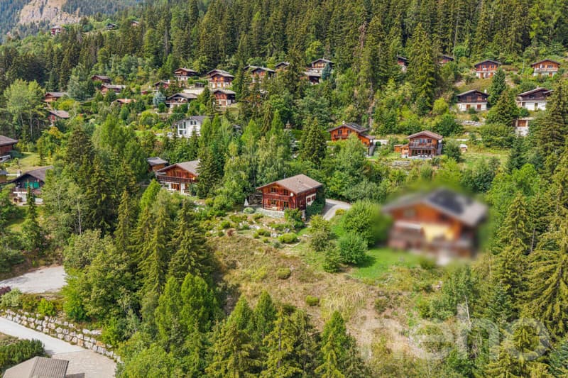 Charmant Chalet avec grand terrain et vue dégagée à Arbaz (7)