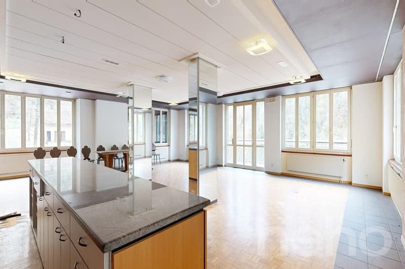 OPPORTUNITÉ RARE : RÉVEILLEZ LA LÉGENDE DE LA MAISON MONSIEUR (2)