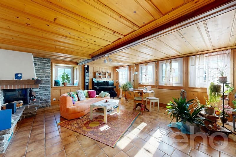 Maison spacieuse à fort potentiel dans un cadre paisible (1)