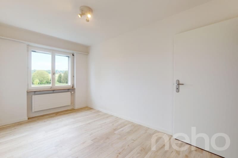 Einzigartige 4.5-Zimmer-Attikawohnung mit riesiger Terrasse (10)
