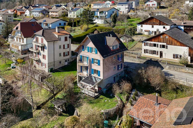 Grande demeure familiale de 2 appartements: 6,5 pièces + 3 pièces (1)
