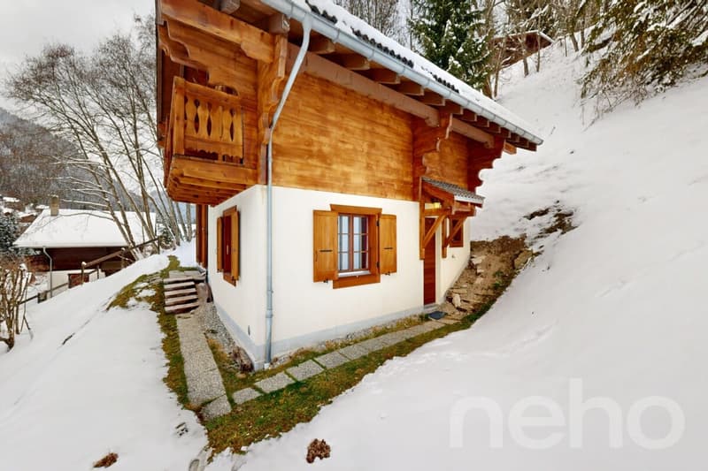 Exclusif : Chalet de 4 chambres avec garage (2)