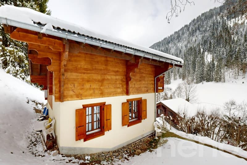 Exclusif : Chalet de 4 chambres avec garage (3)