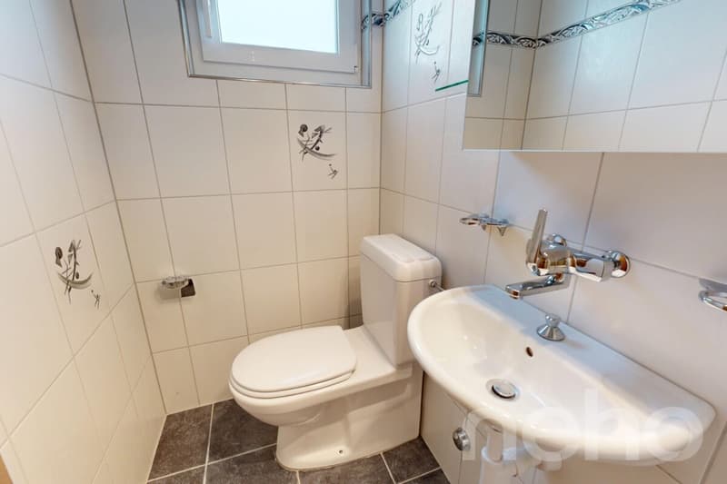 Lichtdurchflutete 4.5 Zimmer Wohnung in Bettlach (11)