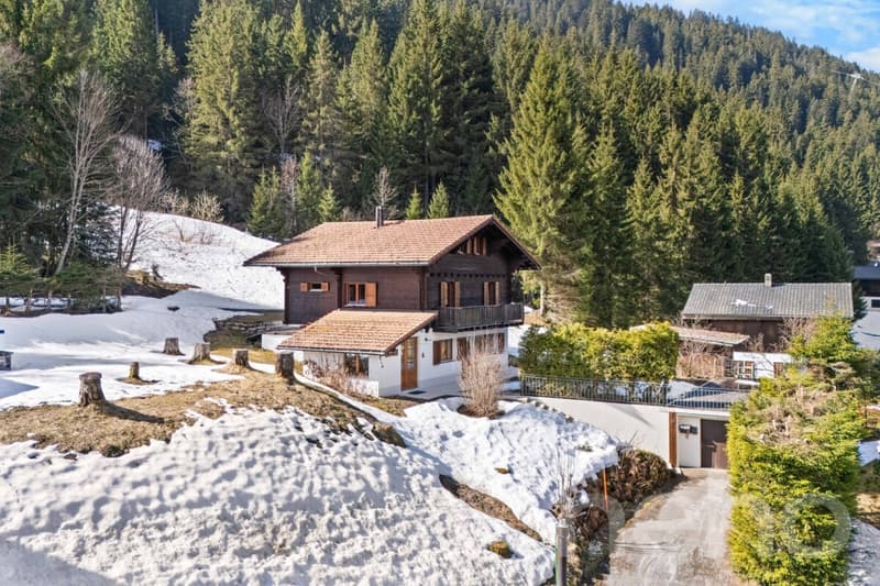 Exclusif : Superbe chalet de 5 chambres rénové récemment (2)