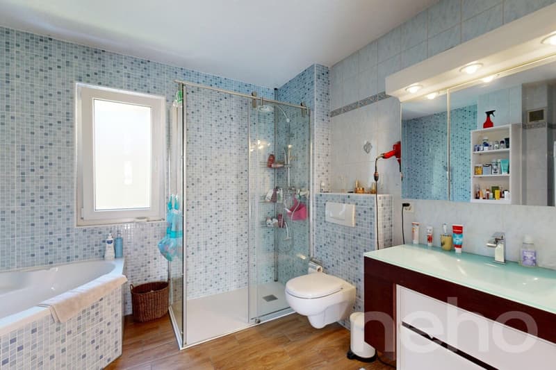 Villa individuelle à Vernayaz? espaces modulables, extérieur verdoyant (8)