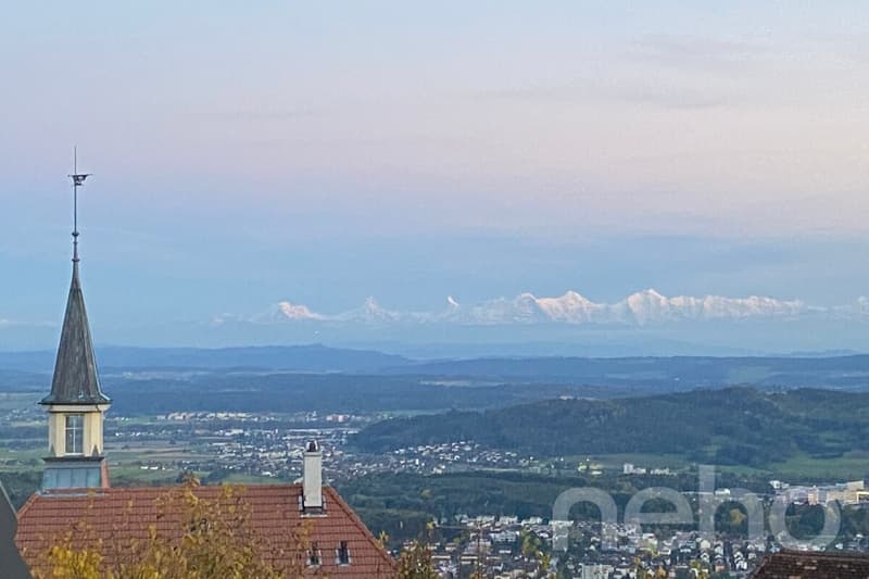 Grosszügige Attikawohnung mit Blick auf die Alpen (3)