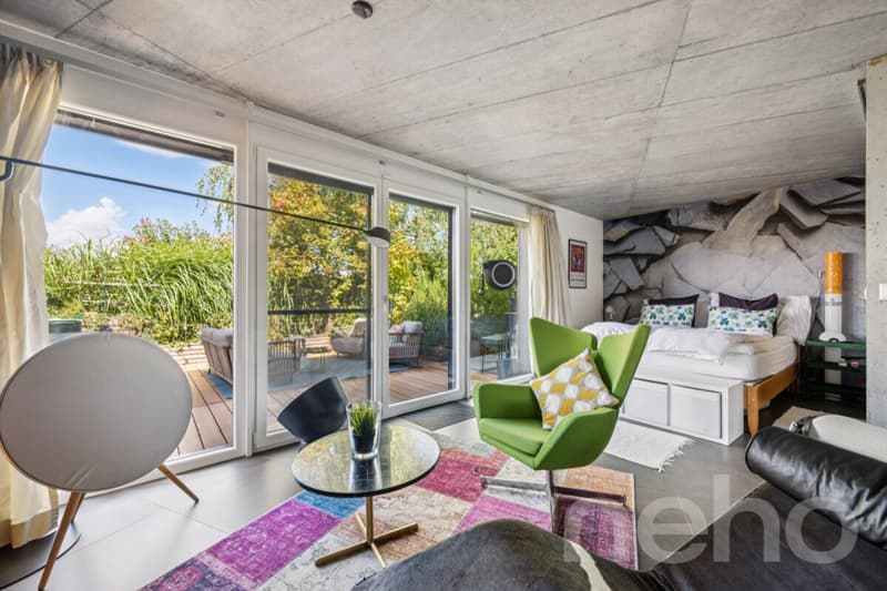 Villa contemporaine avec studio indépendant aux portes de Lausanne (7)