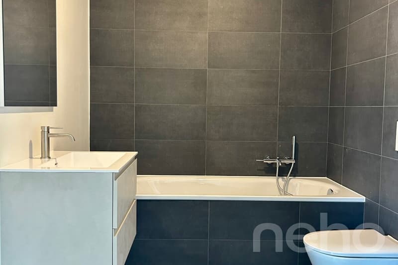 DUPLEX CONTEMPORAIN LUMINEUX, M1 ET EPFL À QUELQUES PAS (8)