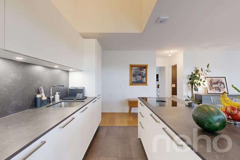 DUPLEX CONTEMPORAIN LUMINEUX, M1 ET EPFL À QUELQUES PAS (5)