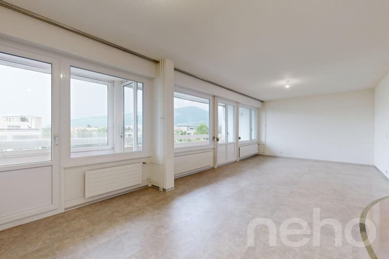 Superbe duplex familial de 7 pièces à Thônex (1)