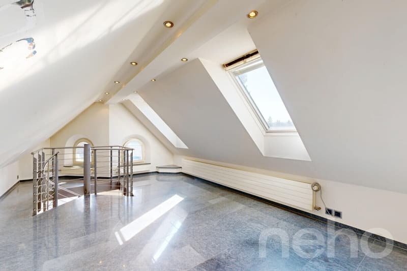 Charmante Dachwohnung mit Galerie und Weitsicht ins Grüne (5)