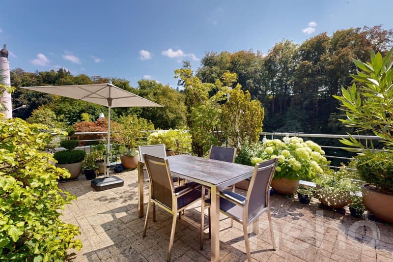 4.5 Zimmer Terrassenhaus mit Traumaussicht in Utzigen (12)
