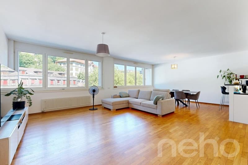 Appartement familial lumineux à deux pas de toutes les commodités (1)