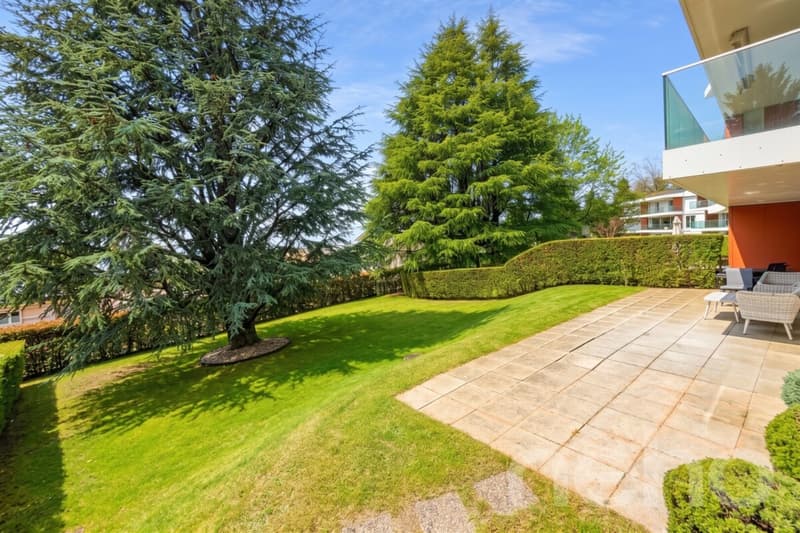 Superbe maison mitoyenne de 5.5 pcs au calme absolu au Mont/Lausanne (7)