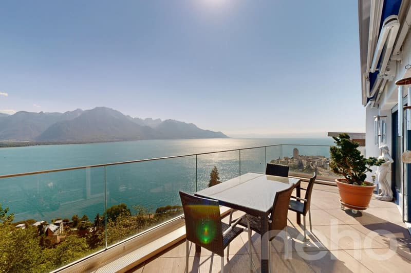 Un panorama d?exception sur le lac et les Alpes (3)
