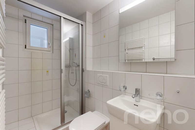5.5-Zimmer-Reihenhaus in Allschwil - Wohnen zwischen Stadt und Natur (8)