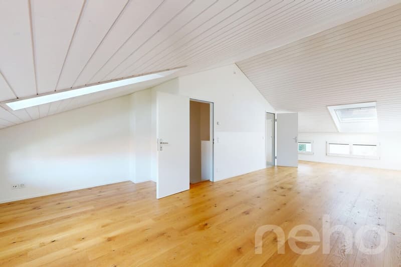 5.5-Zimmer-Reihenhaus in Allschwil - Wohnen zwischen Stadt und Natur (11)