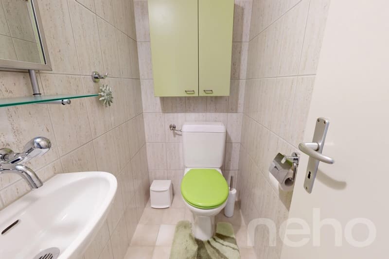 Appartement 4,5 pièces vue panoramique sur le lac (11)