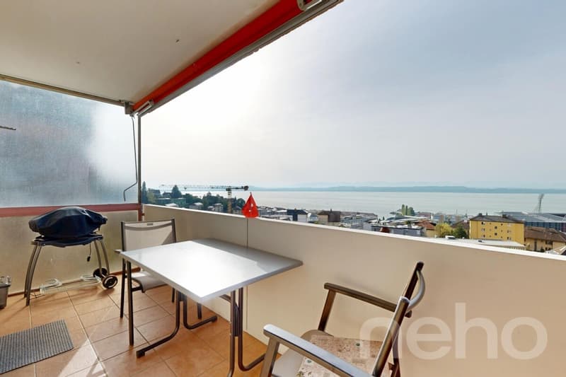 Appartement 4,5 pièces vue panoramique sur le lac (1)